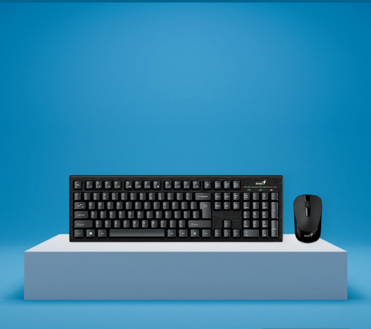 Combo Genius Teclado y Mouse Genius KM-8101