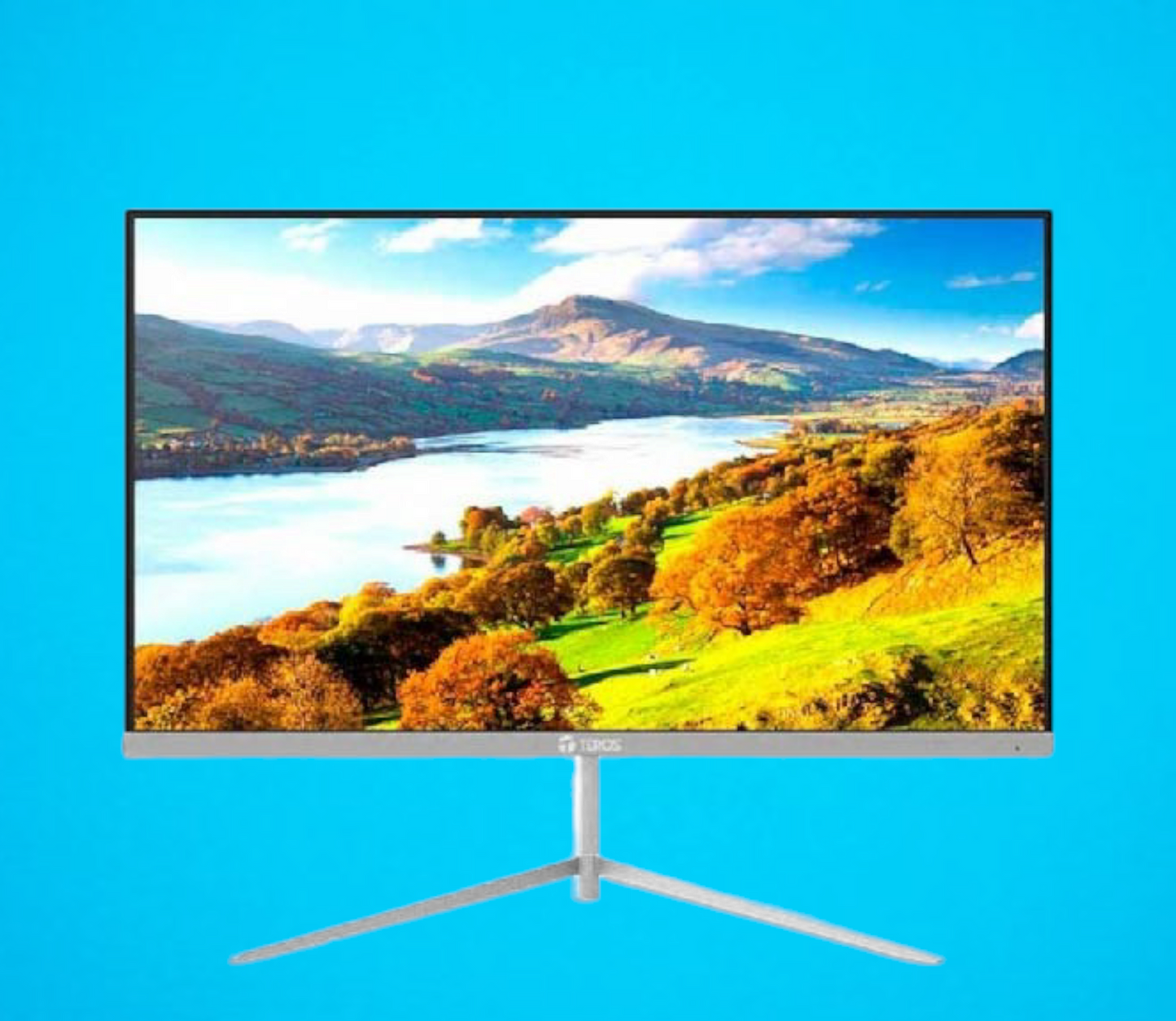 Monitor Teros TE-3130