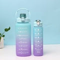 1 LITER MINT AND PURPLE TUB
